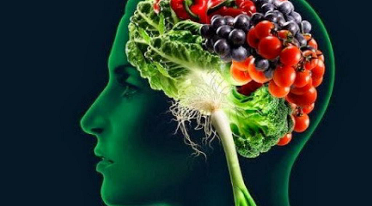 Good food for the development of your brain